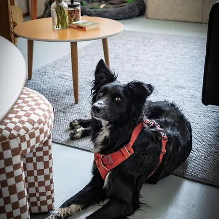 Scheunenrefugio Rot am See