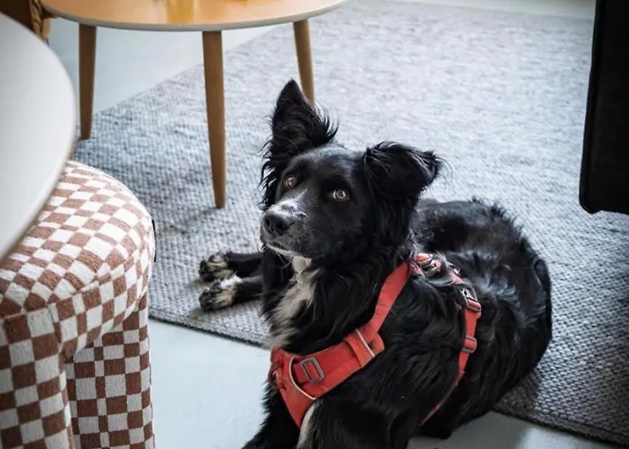 Scheunenrefugio Rot am See