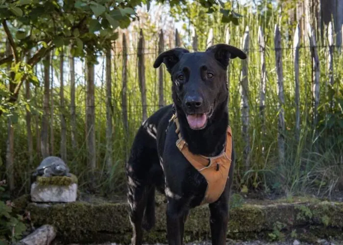 Scheunenrefugio Rot am See