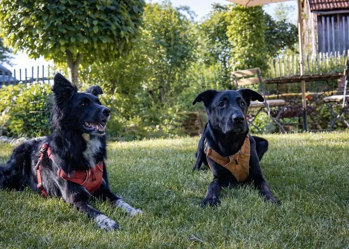 بيت للعطل Scheunenrefugio Rot am See