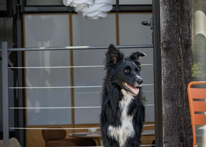 بيت للعطل Scheunenrefugio Rot am See